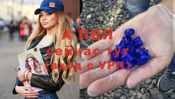 a pvp Абаза