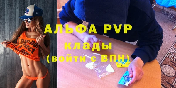 a pvp Абаза