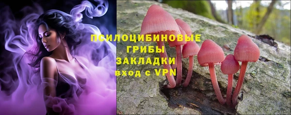 a pvp Абаза