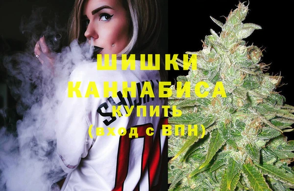 гидра Няндома