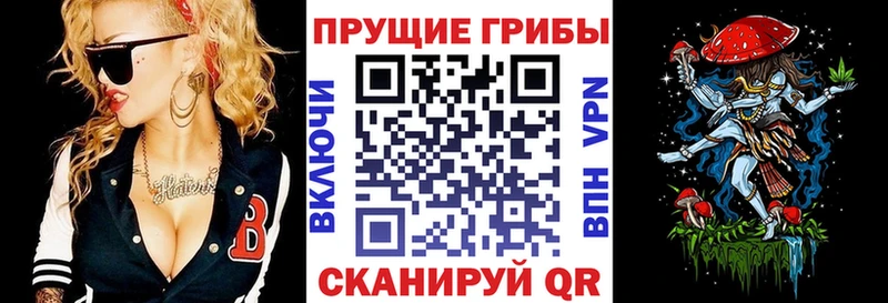 Галлюциногенные грибы Psilocybe  где купить наркоту  Алапаевск 